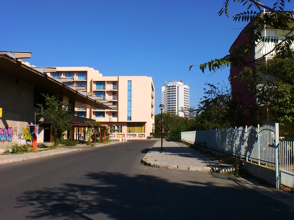 CIMG3539.jpg