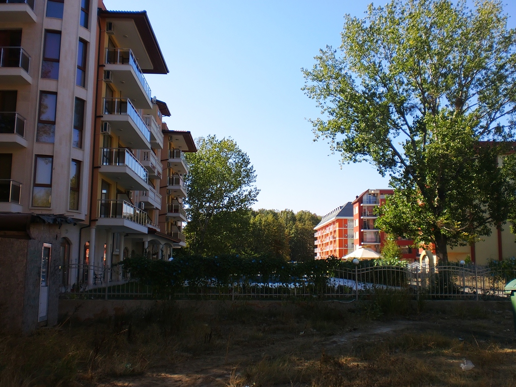 CIMG3540.jpg