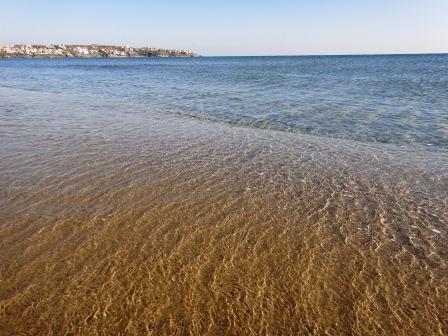 DSC04699.jpg