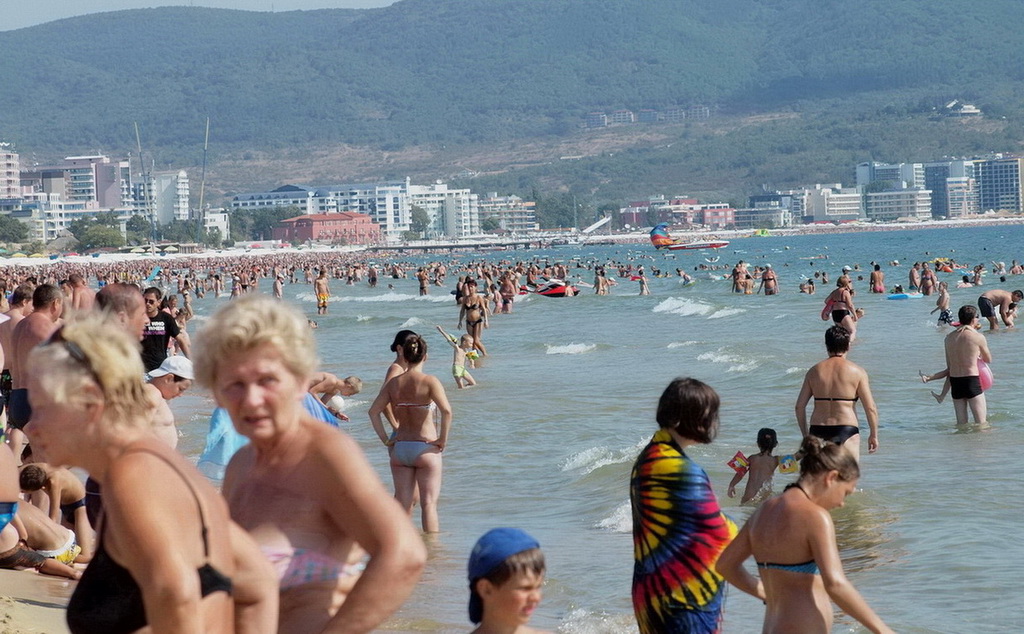 P8234139 аа.jpg
