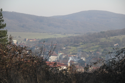 IMG_1562.jpg