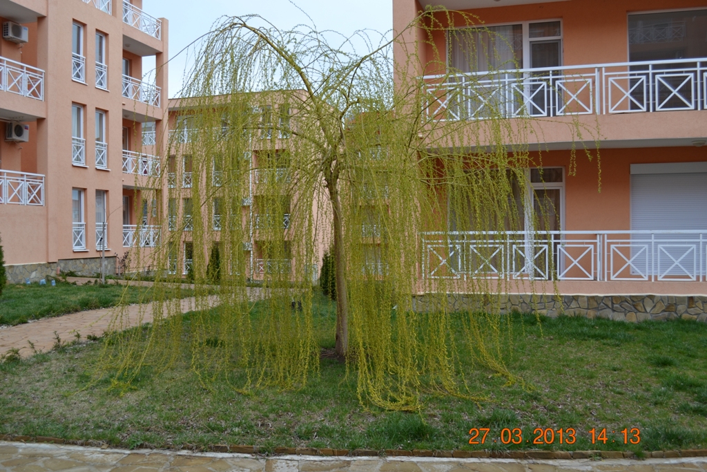 DSC_0209.JPG