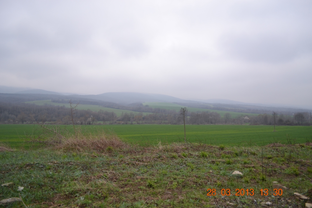 DSC_0296.JPG