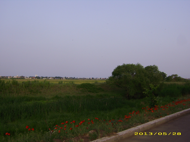 JD100869.JPG