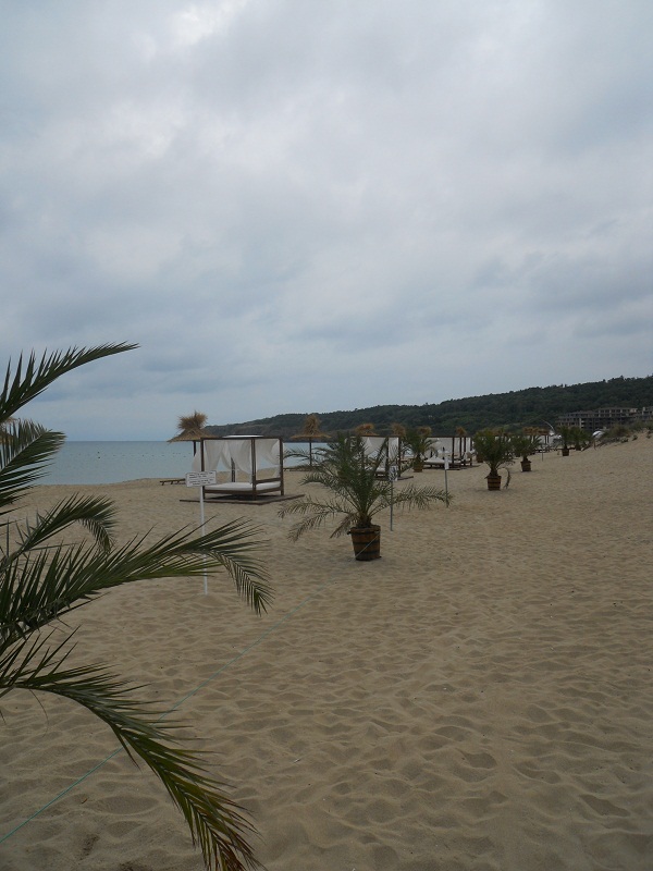 DSCN8435.JPG