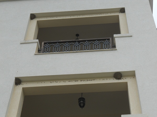 DSCN8441.JPG