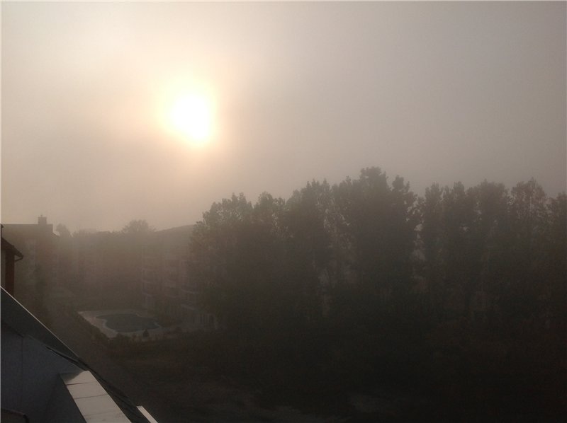 image.jpg