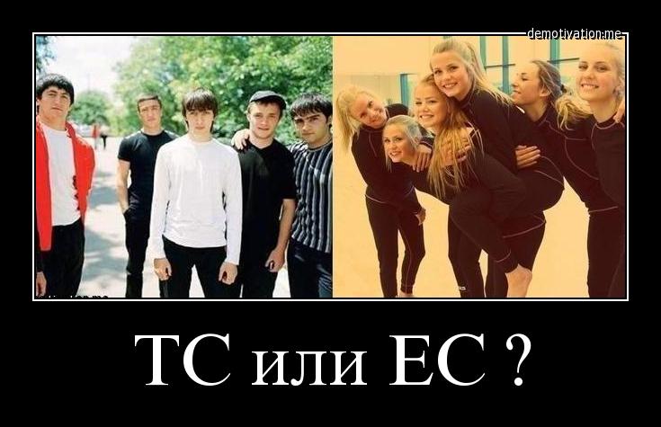 ТС или ЕС.jpg