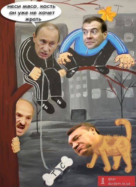 image.jpg
