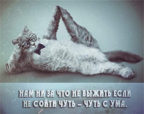 Y_RDTFL3Sjc.jpeg