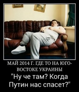 27470_600[1].jpg