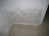 IMG_7564.gif