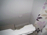 IMG_7570.gif