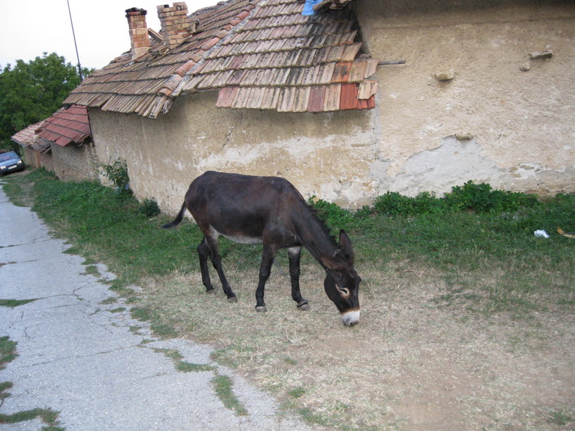 В деревне.jpg