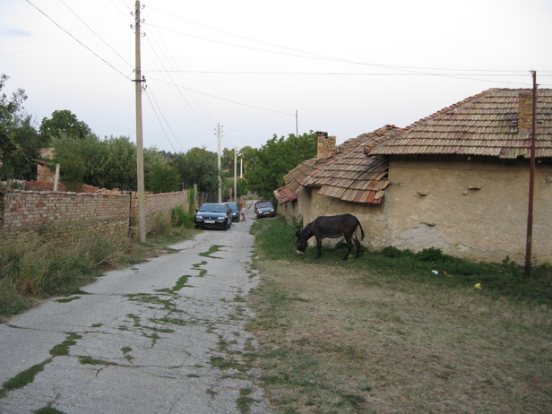 Улица в деревне.jpg