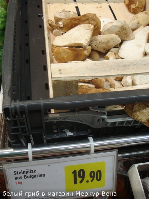 manatarki.jpg