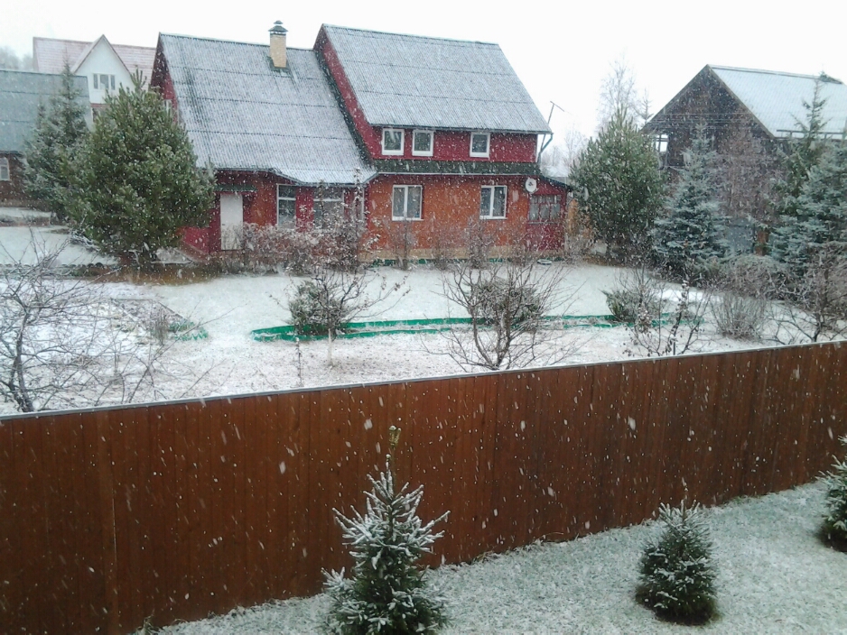 20141101_102916.jpg