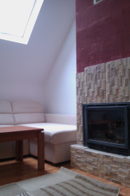 IMAG0063.jpg