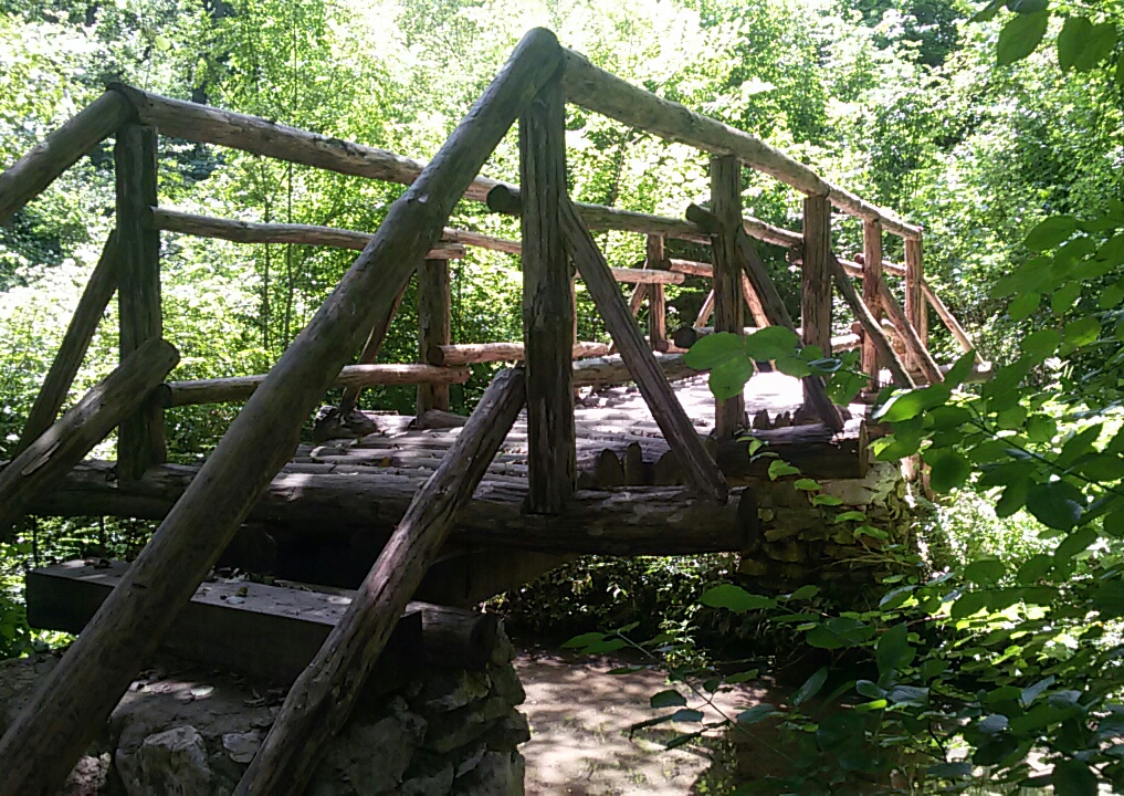 20160625_120533-1.jpg