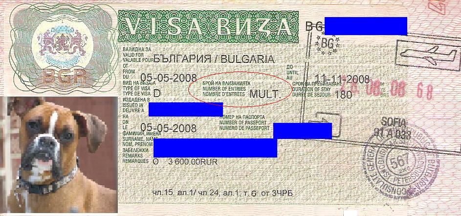 vizaD1.jpg