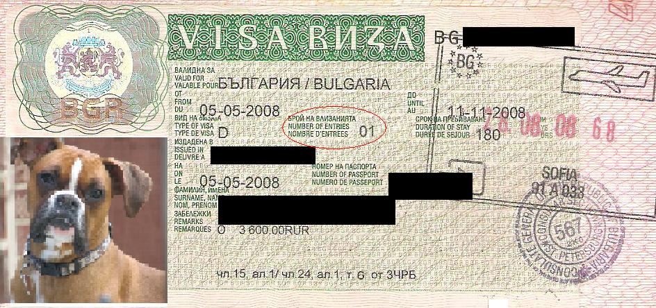 viza D 2.JPG
