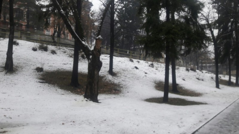 20190126_103704.jpg (168.8 КБ) Просмотров: 10049 20190126_103704.jpg