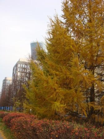 Питер октябрь 2010 018.jpg
