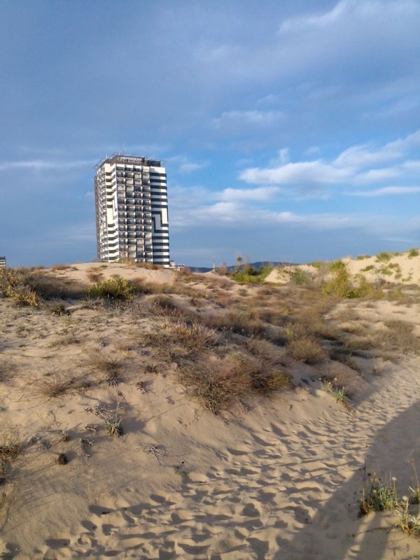 IMG_20201016_173141.jpg