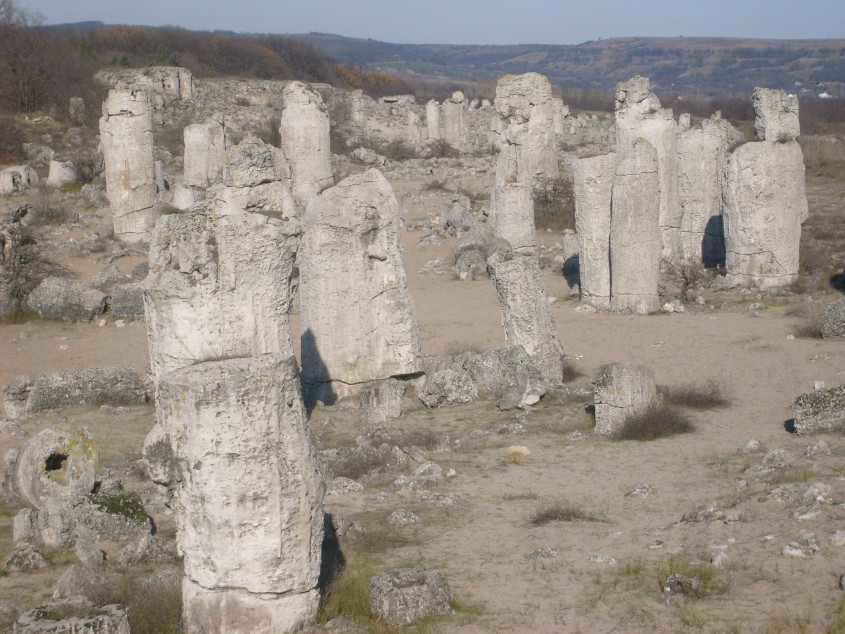 S6303761.jpg
