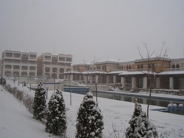 P1254522.JPG