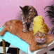 1264877445.gif