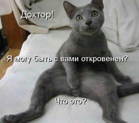 ece5fd39307453d152adb7beeea0f126_full.jpg
