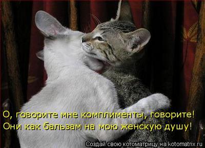 govori1.jpg