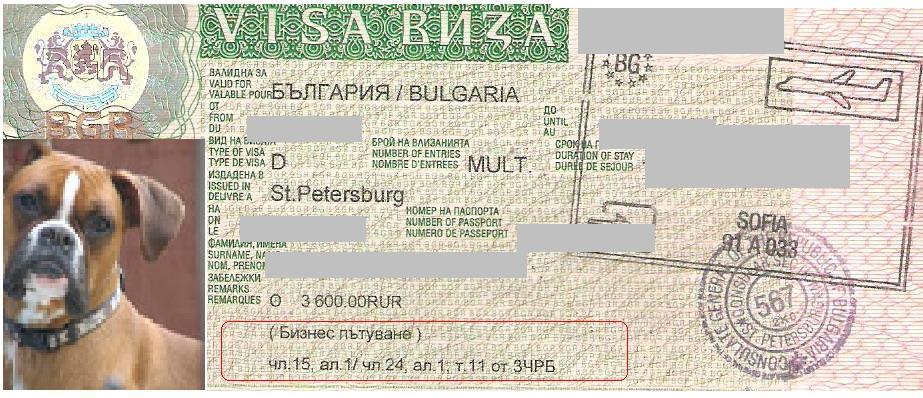 Виза.jpg