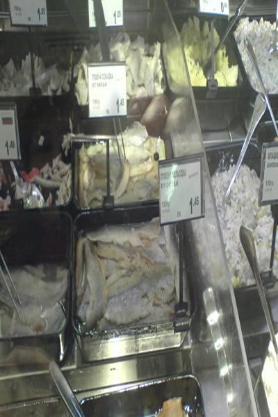 DSC00064.JPG
