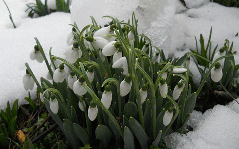 DSCN0665.gif