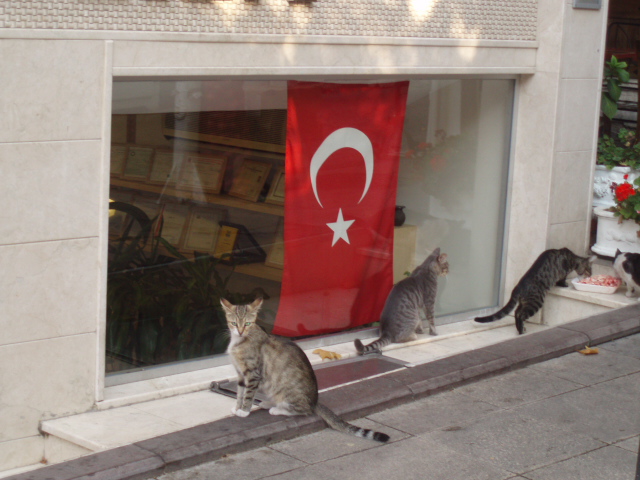 Summer_2009 490.jpg
