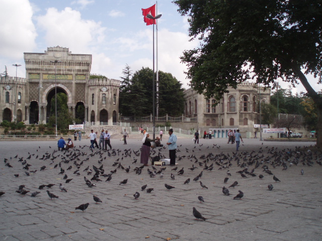 Summer_2009 550.jpg