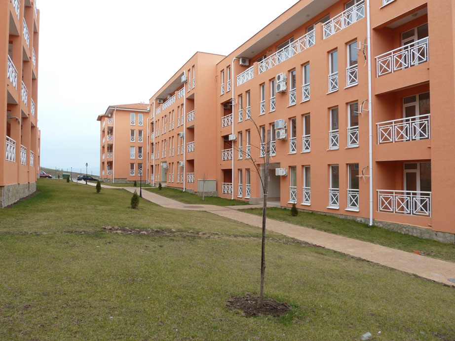 P1050430.jpg