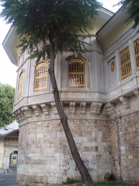 Summer_2009 466.jpg