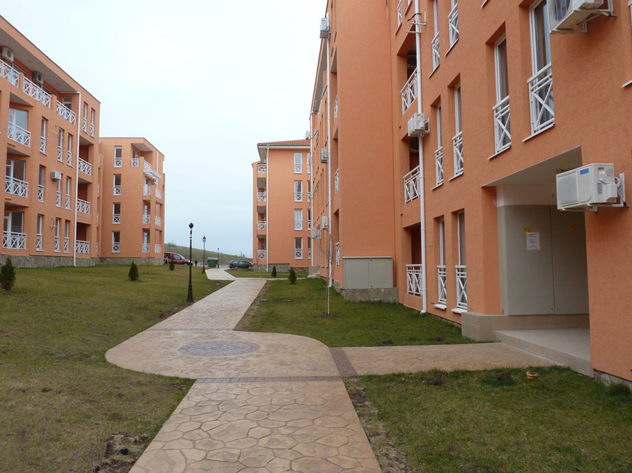 P1050431.jpg