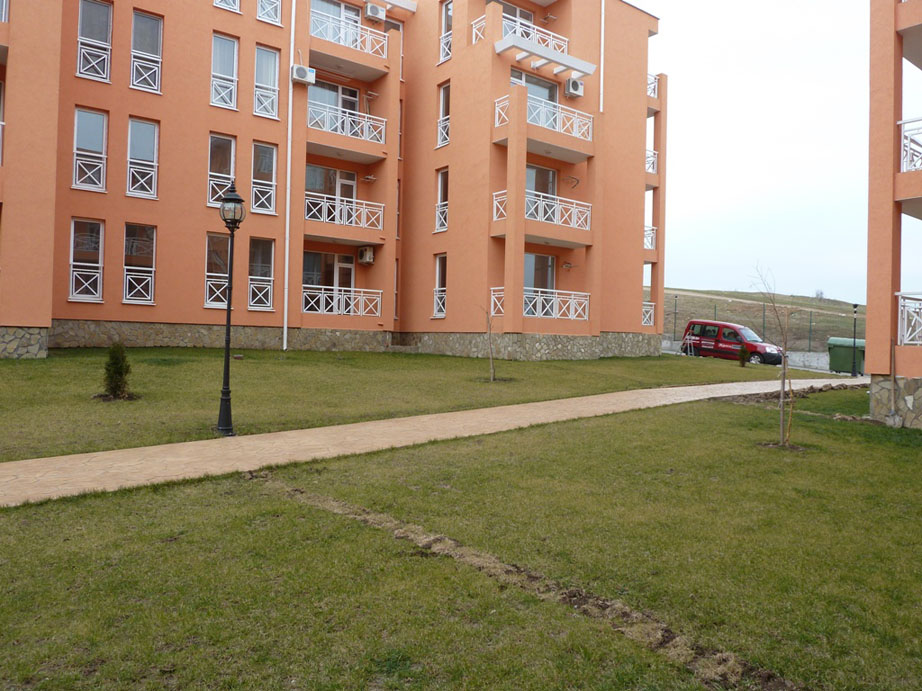 P1050433.jpg