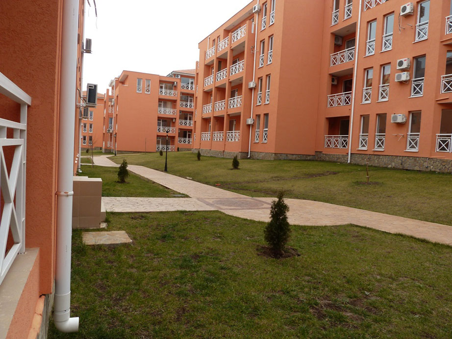 P1050434.jpg