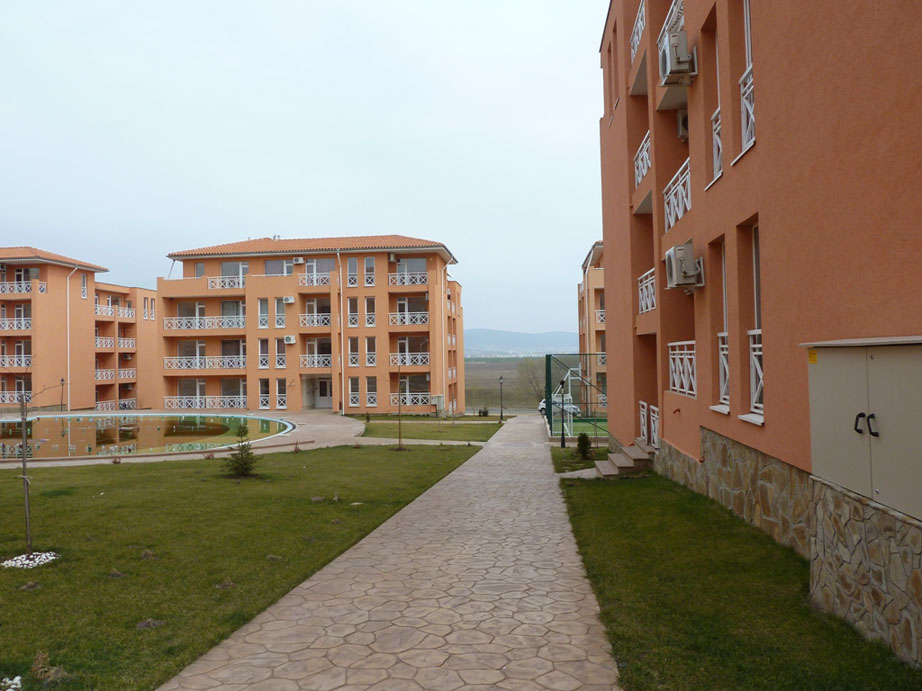 P1050451.jpg