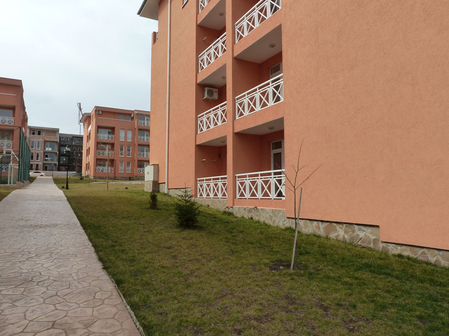 P1050530.jpg