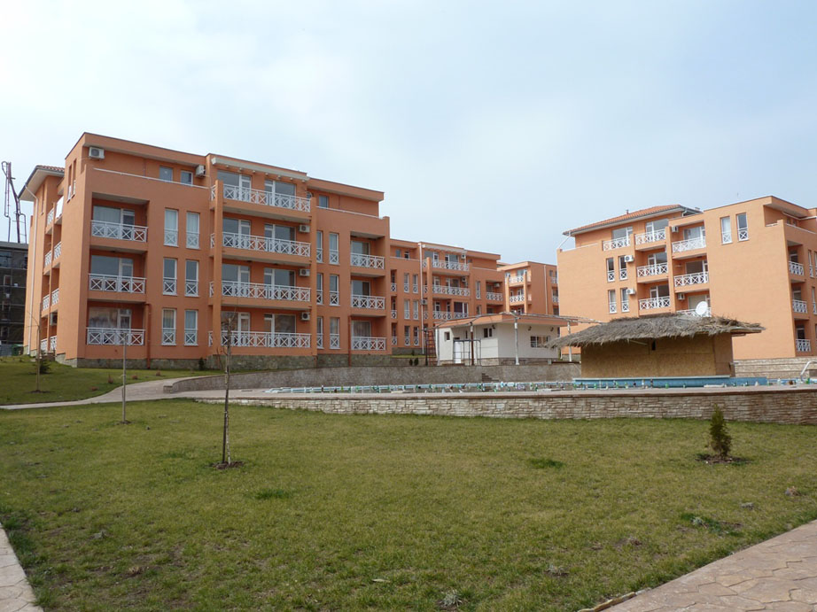 P1050533.jpg