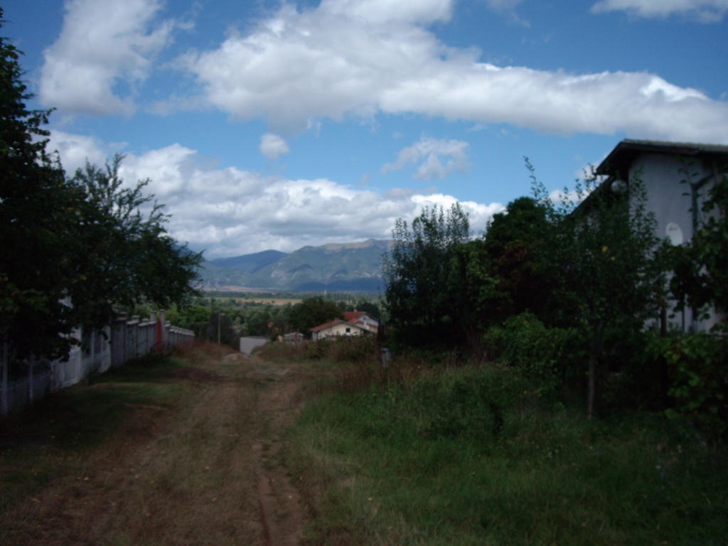 IMGP0891.JPG