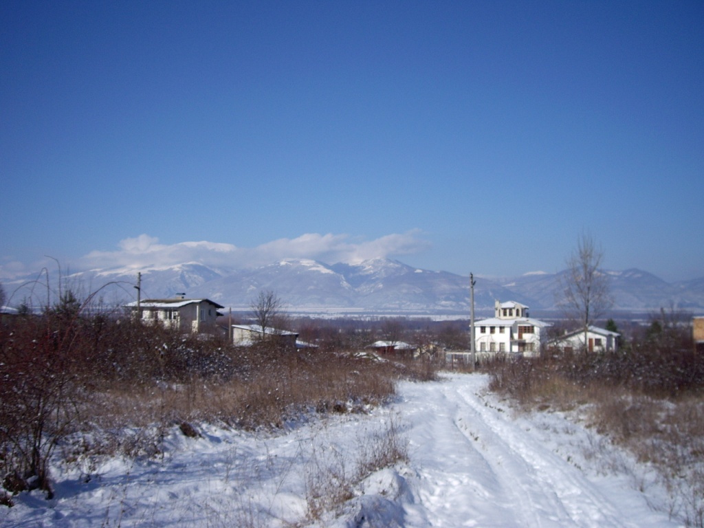 IMGP0895.JPG