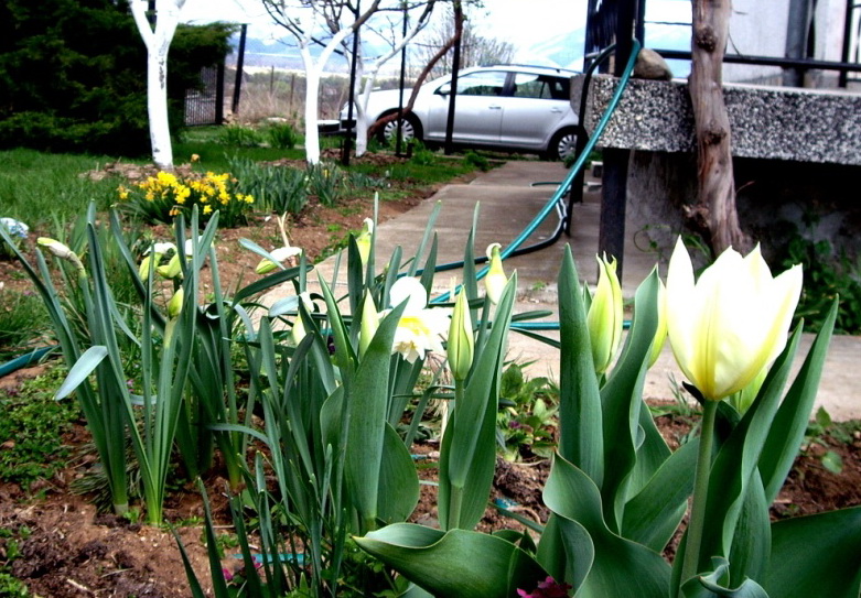IMGP0948.jpg