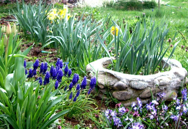 IMGP0947.jpg